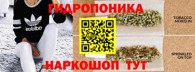 дурь Шахты