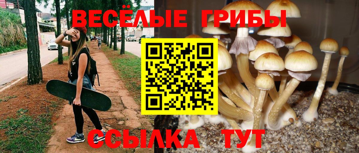 Галлюциногенные грибы Magic Shrooms Королёв