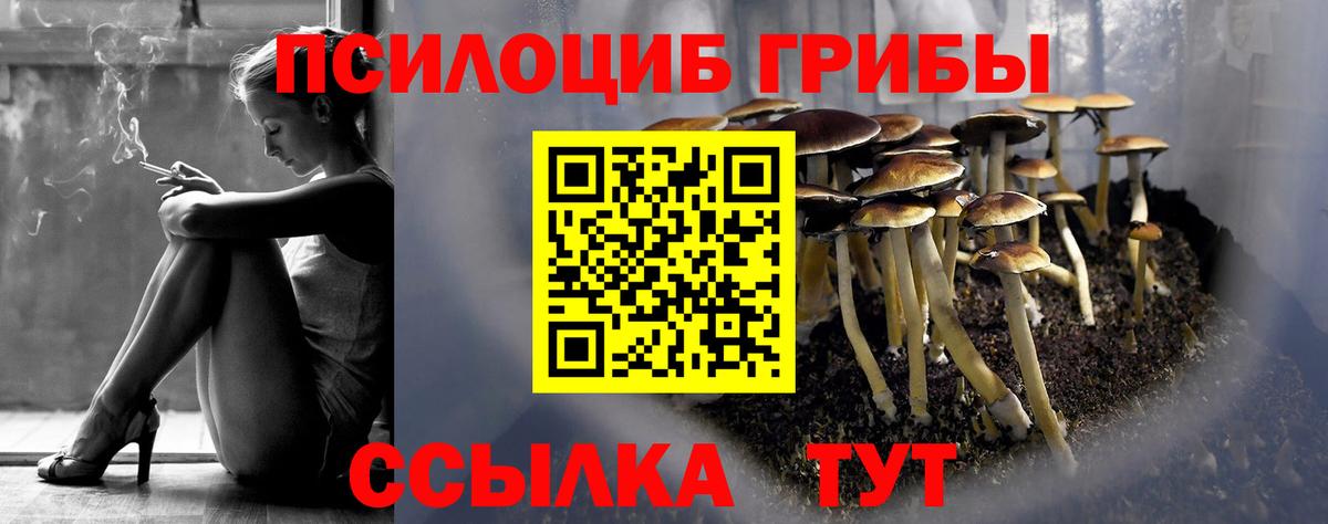 Псилоцибиновые грибы Magic Shrooms  Вход с VPN  Королёв 
